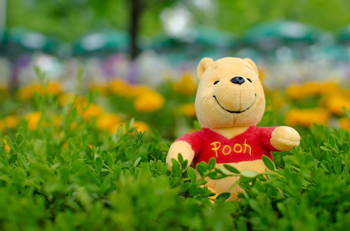 winnie the pooh sitting in grass