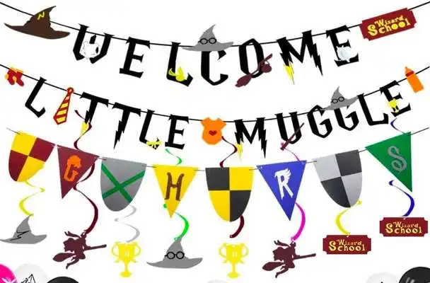 Wizard Party Mugle Banner